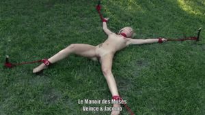 Bondage for Christine in the park of the Manor