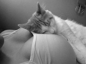 HELLO KITTY!! Soft and Warm with a soothing faint sound of a heartbeat. Closes thing to kitty heaven I’d think. };}~