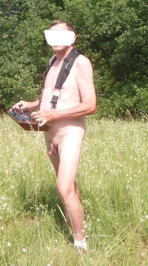 Pilotage d'un modèle réduit