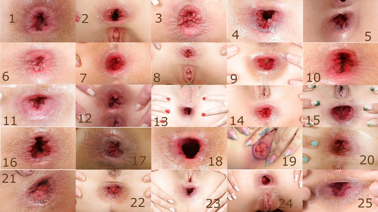 Wich one do you like ?
