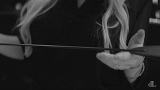 dL — Whip