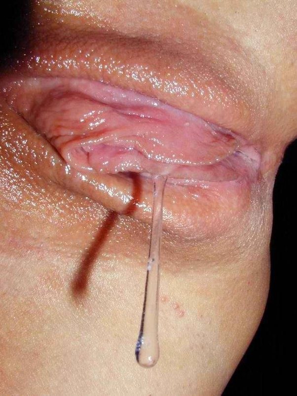 another day another gangbang mess