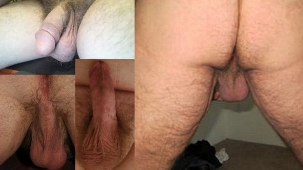 MY HAIRY COCK BALLS AND ASS