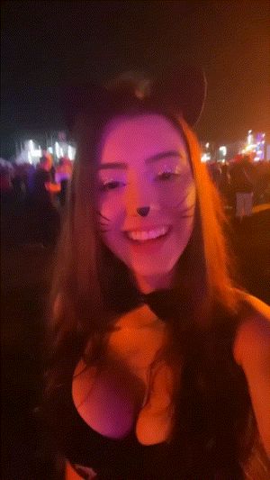 PARTY CAT