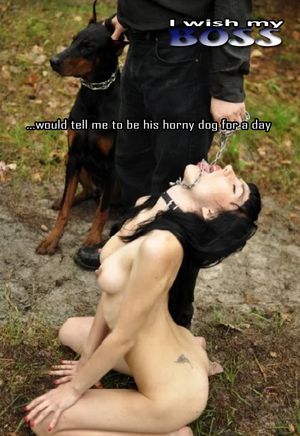 I wish my Boss would