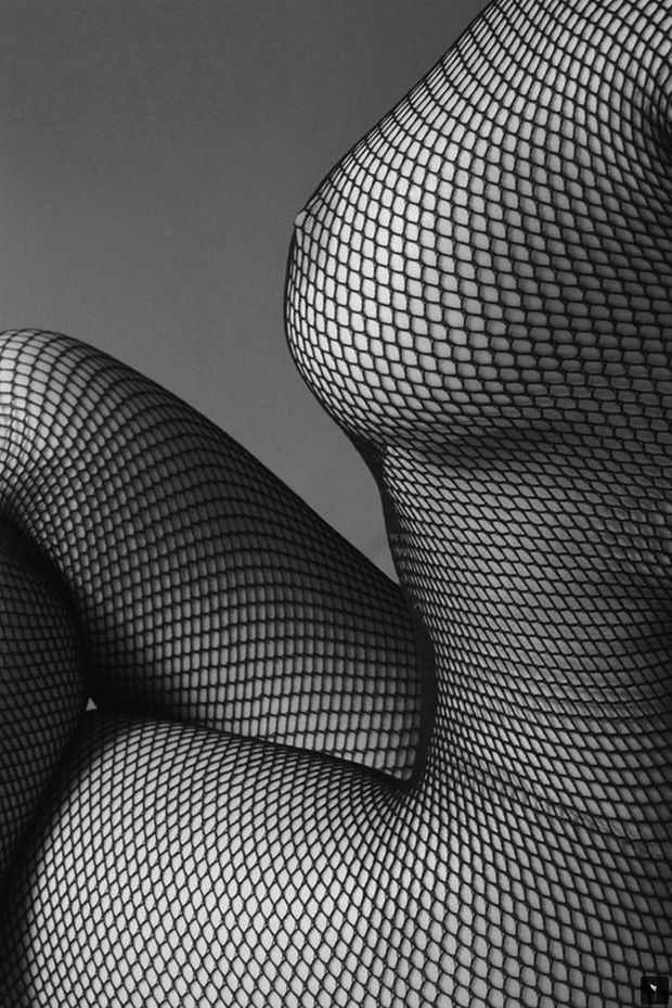 Fishnets