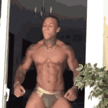 Stripper