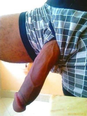 Can you resist this ... 527