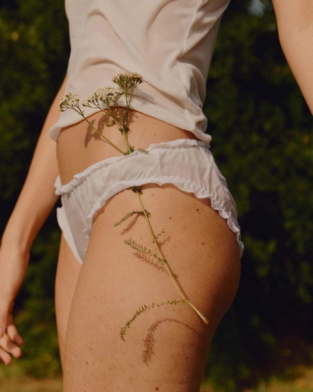 Panties