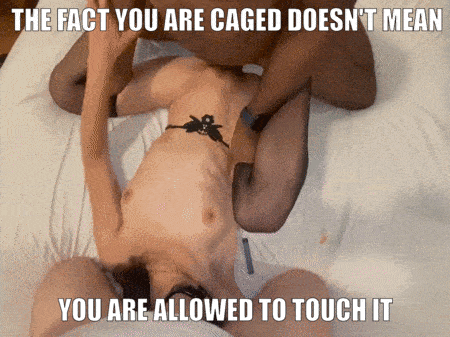 The rules are clear. Hands off that thing while I get pleased.