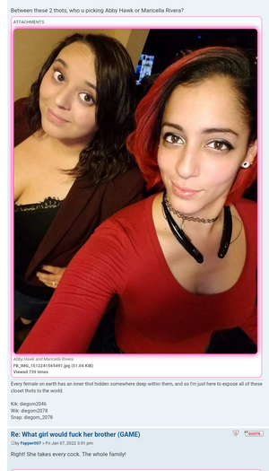 Which of these Latina Thots would fuck their brother, Abby Hawk or Marcella Rivera?