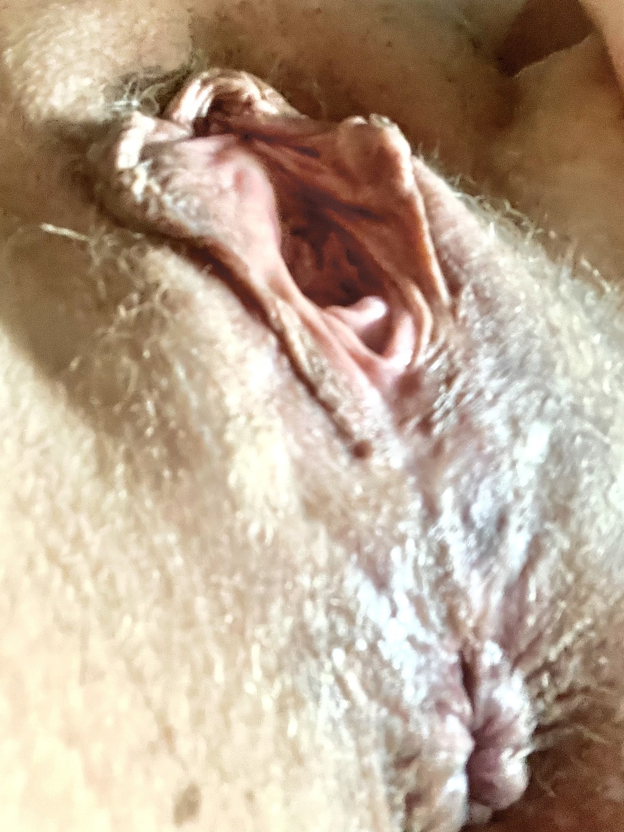 I Wanted to Share How Tight My Asshole Is. Love a Butt Plug/Fingers/Tongue In It