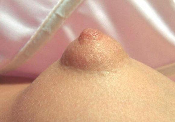 The Puffy