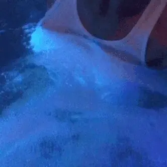 Wet white t-shirt titties