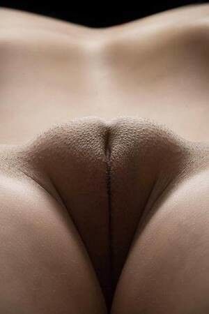 Pussy mound