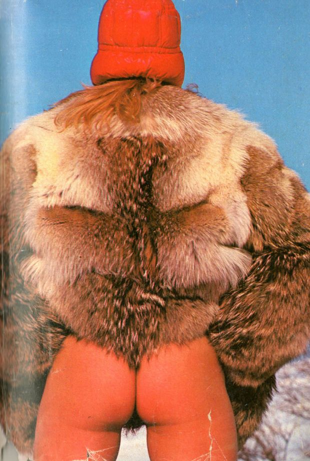 Fur