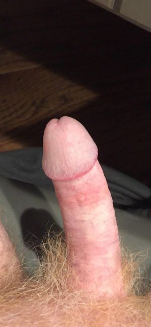 BEAUTIFUL HARD DICK