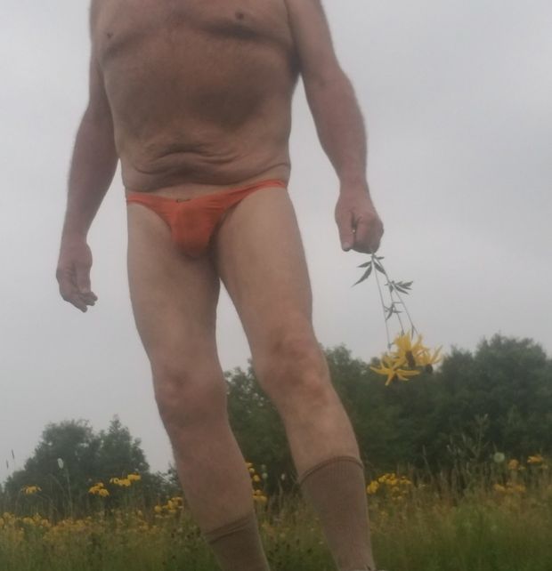 Bulge in panties