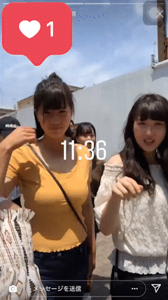 mako 11