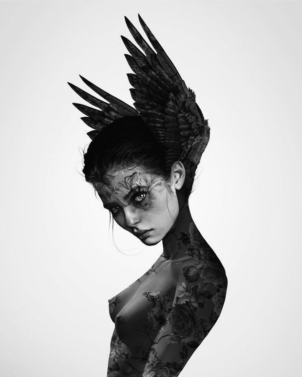 I’m not quite sure what this beautiful creature is, but a beautiful creature nonetheless.