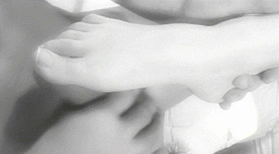 Foot