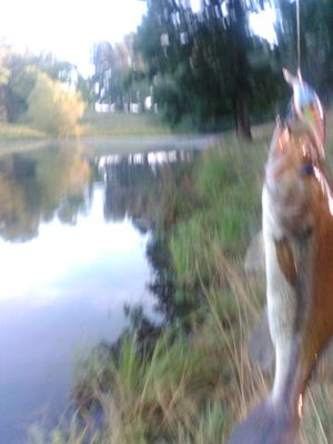 Rayville Picture