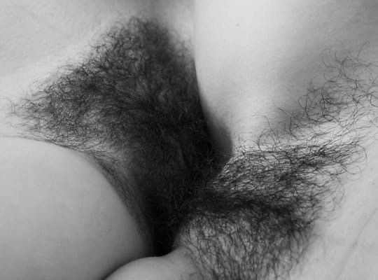 Furry friends grinding pussy