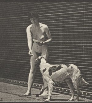 Our hu-sheep luv to play with their keepers.