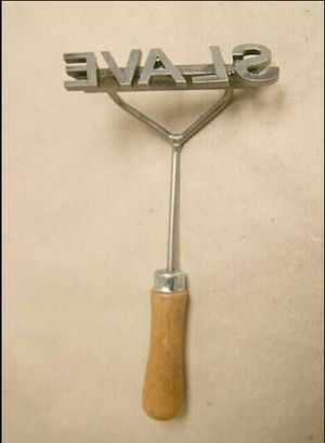 She didn't make me; HE did.