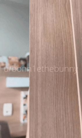 Look what is behind door number 1! (Bonn1etebunny)