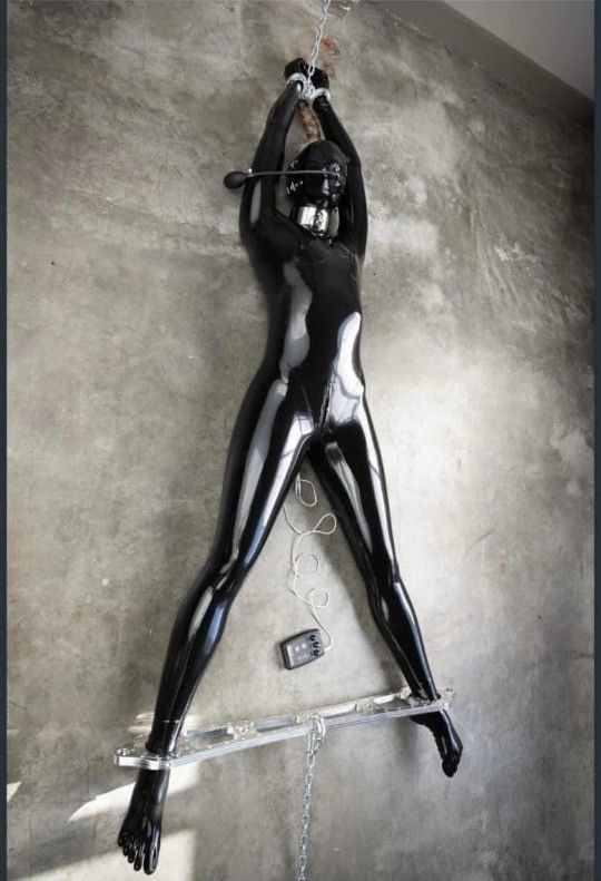 Tonight's victim.