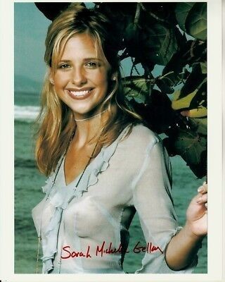 Buffy on the beach in see through