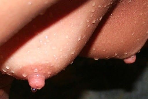 wet hard nipples