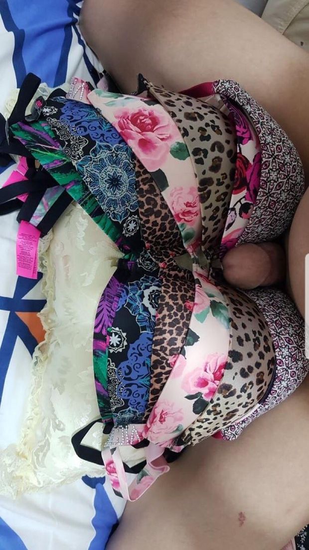 Titty Fucking 6 Empty Bras