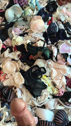 Quite the Panty Raid