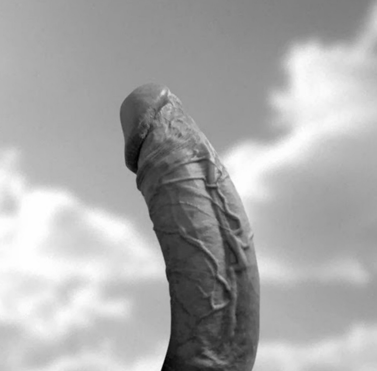 Reach for the sky