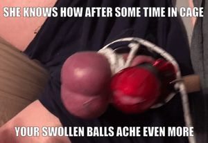 You learn faster discipline when caged