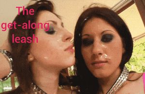 Meh Get-along collar