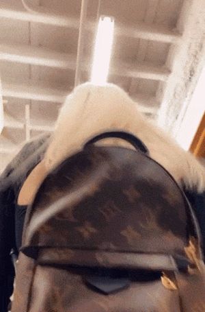 Simonilicious public flashing