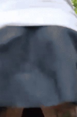 Keyllyna nature flashing