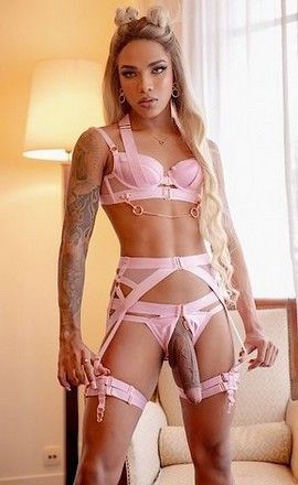 Gorgeous shemale