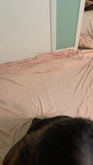 JOI with Violet Fiore