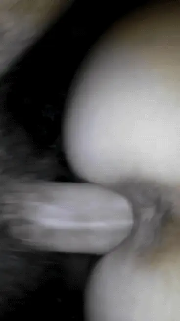 My big white cock smashing pawg pussy from the back