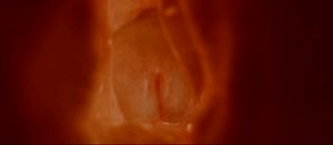 Getting Really Close