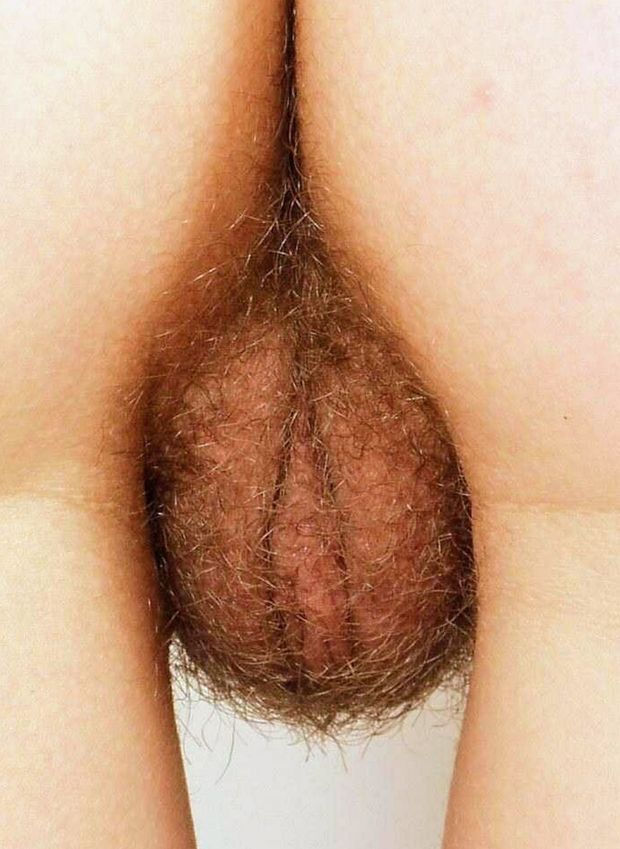 Hairy puffy pussy