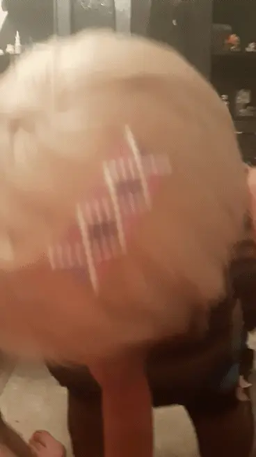 Suck