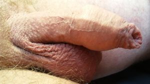 My sweet uncut cock