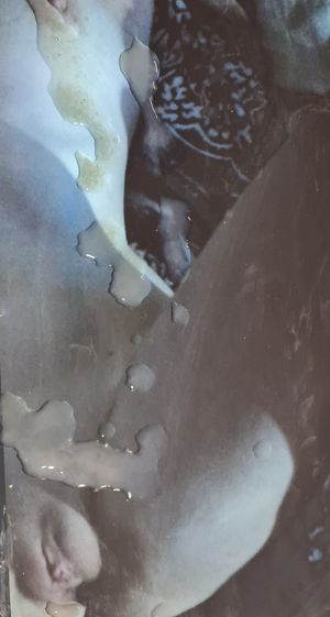 Quick tribute to jest42s awesome body