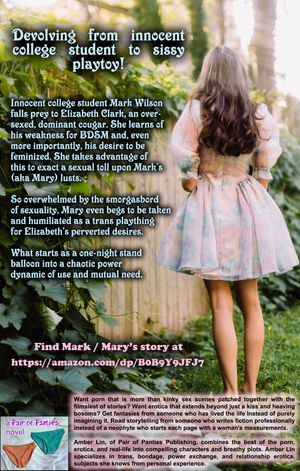 As promised, a new sissy series about finding your feminine self