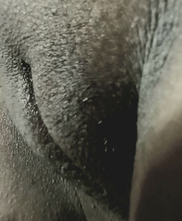 Thicc black pussy